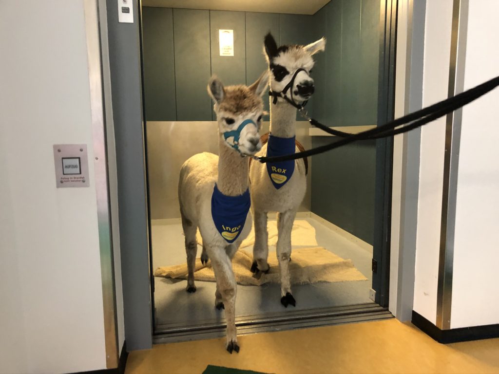 2604746A BF91 41E0 A98D 474F78A54582 1024x768