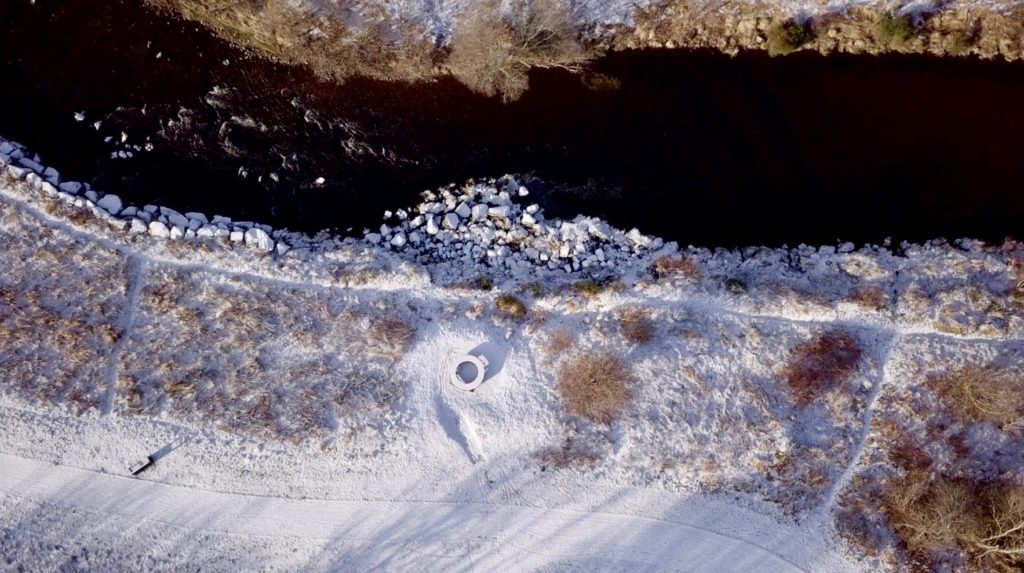 THE BREXIT TREE Still 08 1024x573