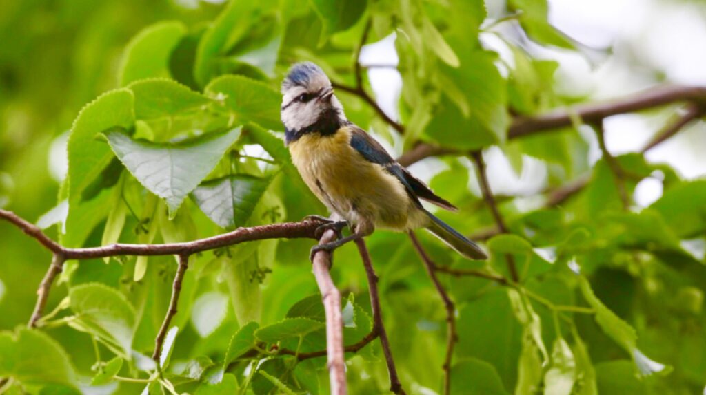 ClemensWilhelm THIS FILM IS SECRET Still 01 Scaled 1 1024x574