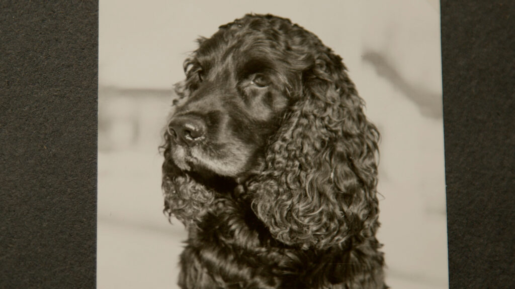 UNSERSCHLUMPI Still 01 1024x576